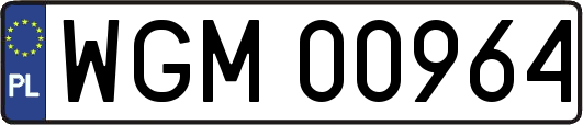 WGM00964