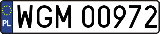 WGM00972