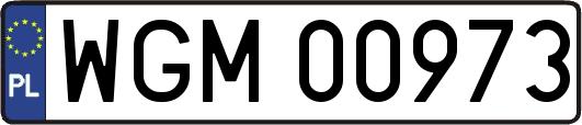 WGM00973