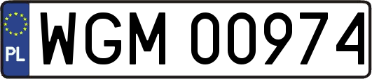 WGM00974