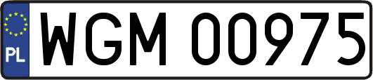 WGM00975