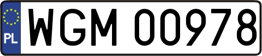 WGM00978