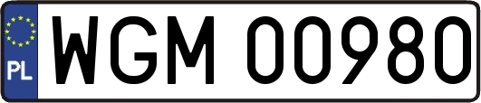 WGM00980