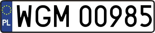 WGM00985