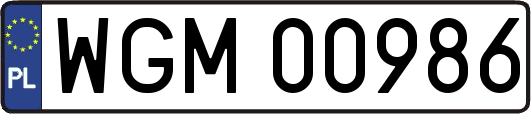WGM00986
