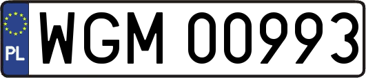 WGM00993