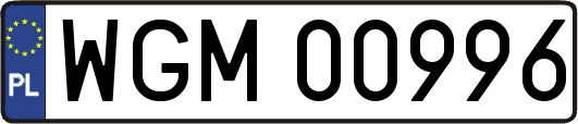 WGM00996