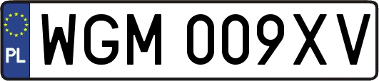 WGM009XV