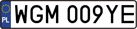 WGM009YE