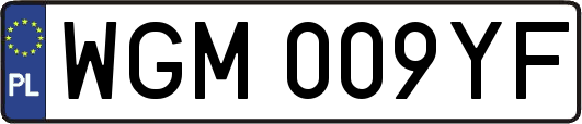 WGM009YF