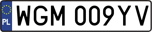 WGM009YV