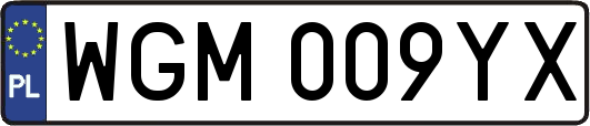 WGM009YX