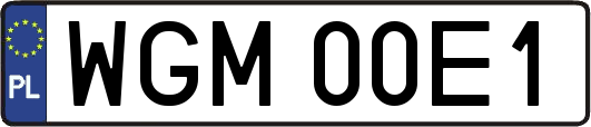 WGM00E1