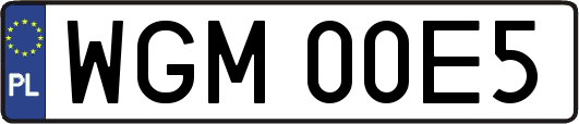 WGM00E5