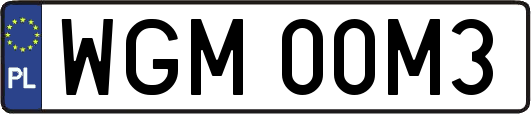 WGM00M3