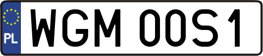 WGM00S1