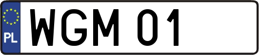 WGM01