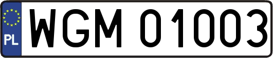WGM01003
