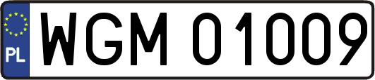 WGM01009
