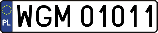WGM01011