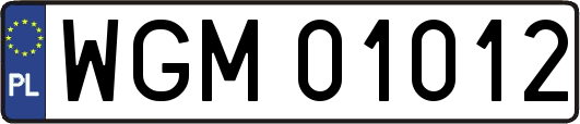 WGM01012