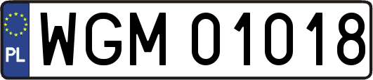 WGM01018