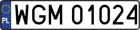 WGM01024