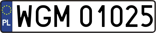 WGM01025