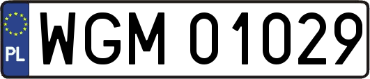 WGM01029