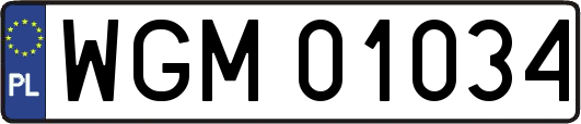 WGM01034