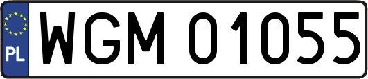 WGM01055