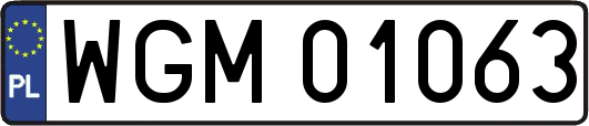WGM01063