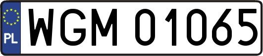 WGM01065