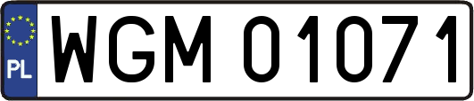 WGM01071