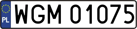 WGM01075
