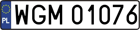 WGM01076
