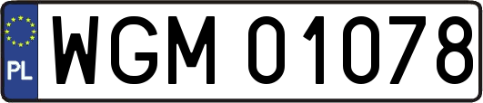 WGM01078