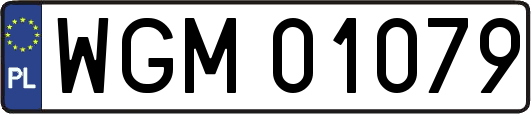 WGM01079