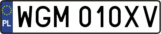WGM010XV