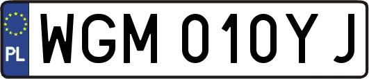 WGM010YJ