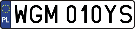WGM010YS