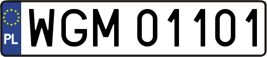 WGM01101