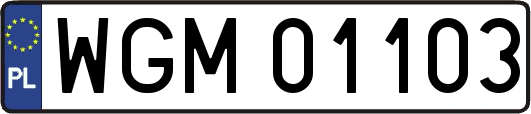 WGM01103