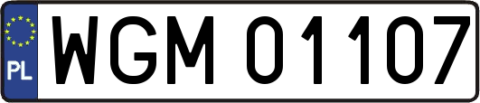 WGM01107