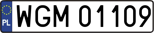 WGM01109