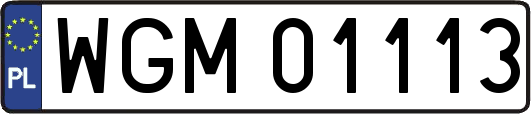 WGM01113