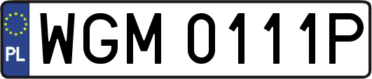 WGM0111P