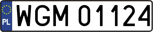 WGM01124