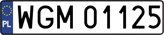 WGM01125