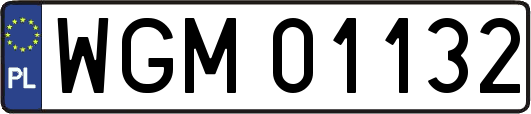 WGM01132
